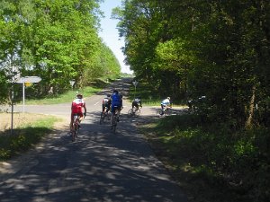RTF Celle 2011 Manfred 150